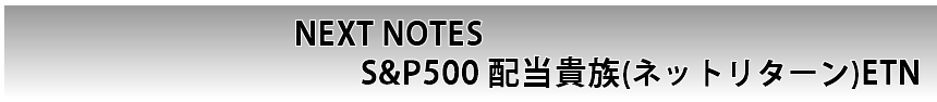 NEXT NOTES S&P500 zM(lbg^[) ETN